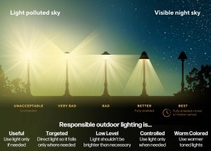DarkSkyMass outreach card